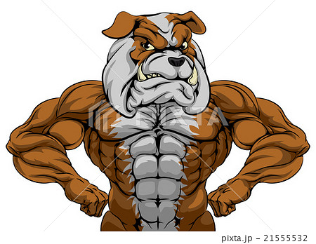 Bulldog Sports Mascot 21555532