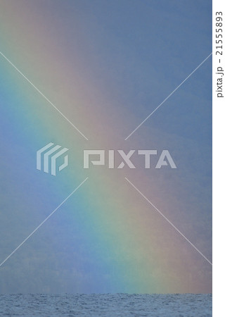 虹のたもと 虹のたもと 21555893
