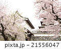 福岡城跡と桜 21556047