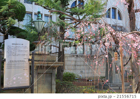 大阪造幣局　ガス燈 21556715