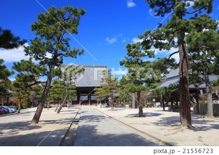 百萬遍知恩寺 百萬遍知恩寺 21556723