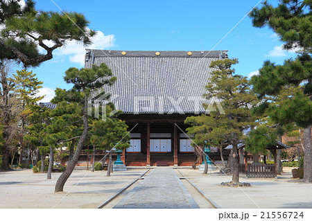 百萬遍知恩寺 21556724