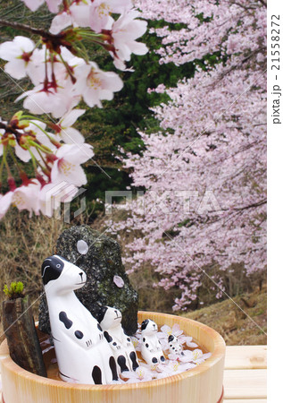 ポチさんちのマッタリ桜風呂 21558272