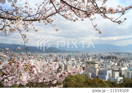 松山城から見た松山市街の風景 松山城から見た松山市街の風景 21559109