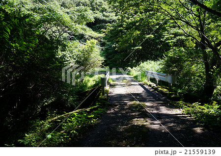 狭い橋 21559139