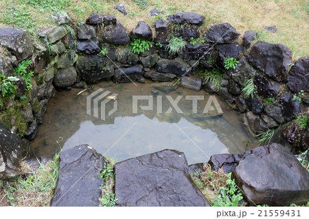 名護屋城 21559431