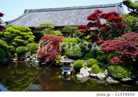 おふさ観音　円空庭 21559939