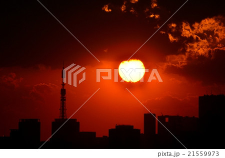 夕焼けの東京 夕焼けの東京 21559973