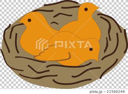 鳥の巣 小鳥の巣 保護のイラスト素材 21560249 Pixta