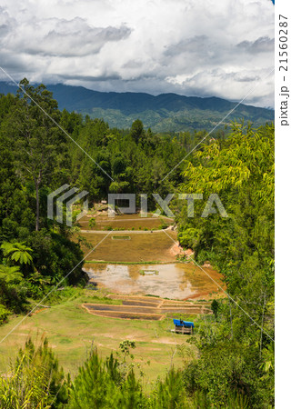 Toraja landscape 21560287