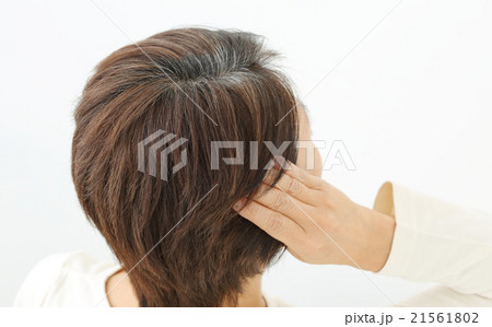 ミドル女性　白髪 21561802