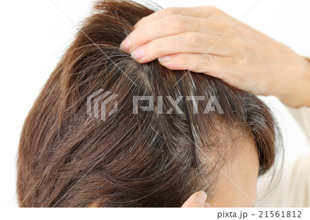 ミドル女性　白髪 21561812