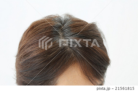 ミドル女性 白髪 ミドル女性 白髪 21561815