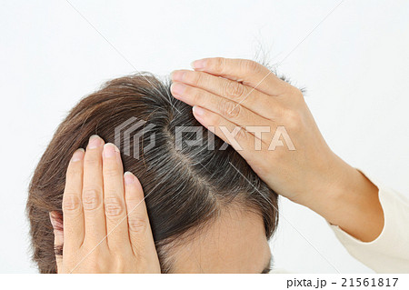ミドル女性 白髪 ミドル女性 白髪 21561817