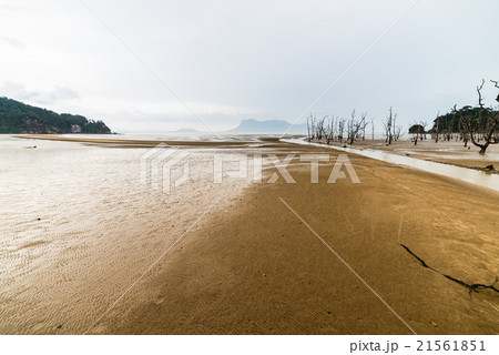 Bako National Park landscape Bako National Park landscape 21561851
