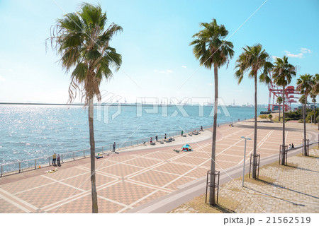 神戸六甲アイランドシティの景観 21562519