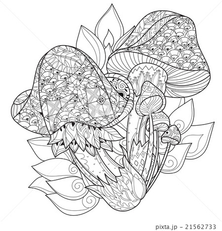 Hand drawn doodle outline magic mushrooms  21562733