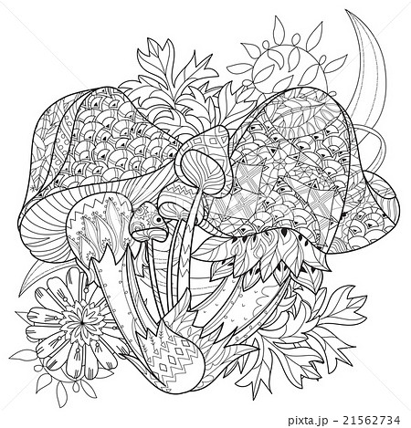Hand drawn doodle outline magic mushrooms  21562734