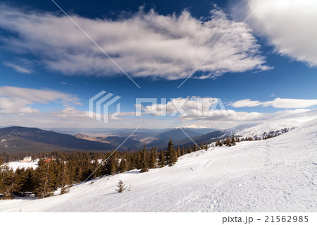 Winter in mountains 21562985