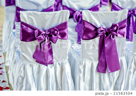 white chairs with purple bows for the wedding 21563504