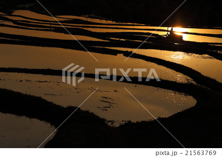 山口県 中須北地区の棚田 夕陽 山口県 中須北地区の棚田 夕陽 21563769