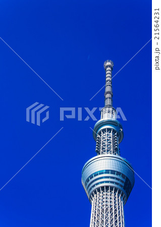 東京スカイツリー 21564231