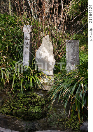 鎌倉　海蔵寺　底脱の井（2016.2） 21564524