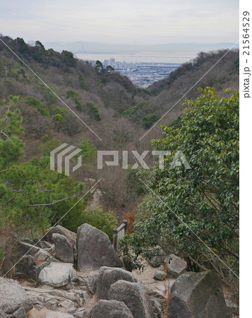 六甲山・ロックガーデン 21564529