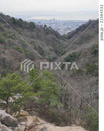 六甲ロックガーデン 21564532