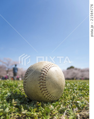 芝 桜 空そして野球のボールの写真素材