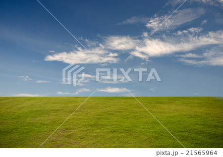 Meadows and sky Meadows and sky 21565964