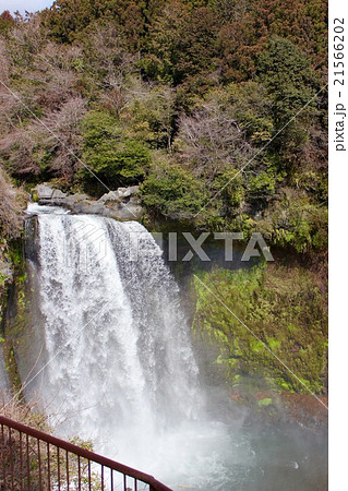 音止めの滝 音止めの滝 21566202