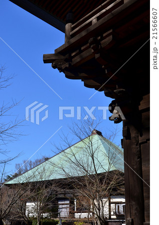 九品仏浄真寺（2016.2） 21566607