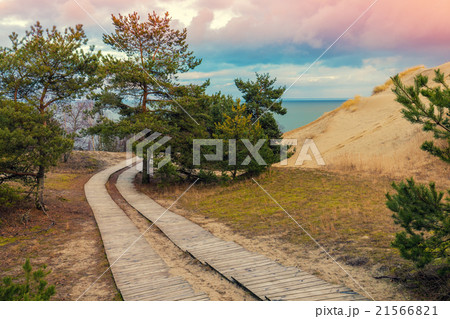Two wooden pathways in park Two wooden pathways in park 21566821