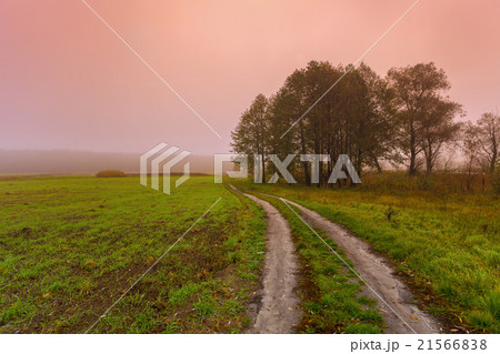 Misty morning in countryside. Misty morning in countryside. 21566838