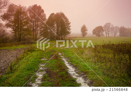 Rural landscape. Misty morning in countryside. Rural landscape. Misty morning in countryside. 21566848