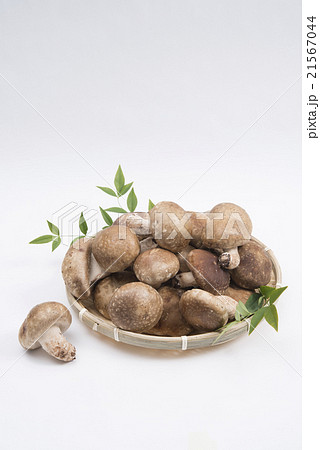 竹ざるに盛ったしいたけ 竹ざるに盛ったしいたけ 21567044