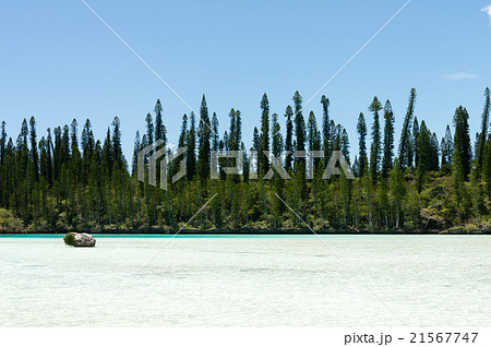 ピッシンヌ・ナチュレル (ニュー・カレドニア、イル・デ・パン) ピッシンヌ・ナチュレル (ニュー・カレドニア、イル・デ・パン) 21567747