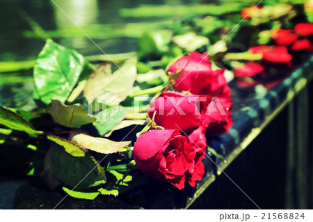 Red rose bouquet laying on mable shrine. Red rose bouquet laying on mable shrine. 21568824