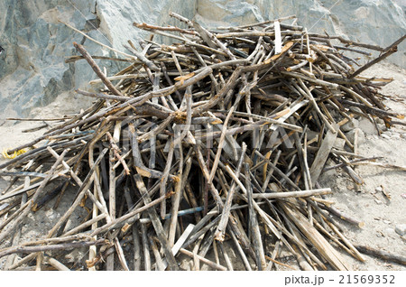 firewood in Leh 21569352