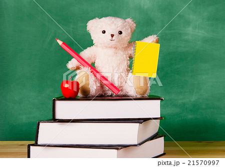 書物の上のテディベア　子供の読書　勉強 21570997
