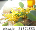 ミモザな午後 21571553
