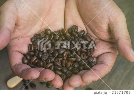 coffee bean was selected on hand 21571705