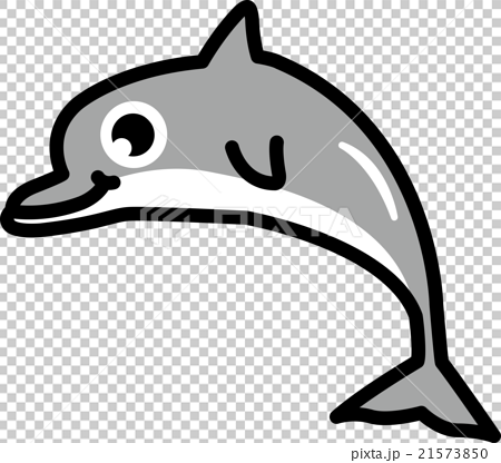 動物 海 イルカ キャラクターのイラスト素材