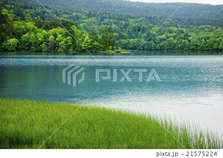 オンネトー湖 オンネトー湖 21575224