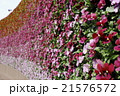 フラワーガーデン 21576572