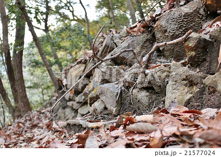 龍野古城 21577024