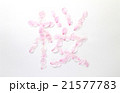 桜の花びら文字（桜） 21577783
