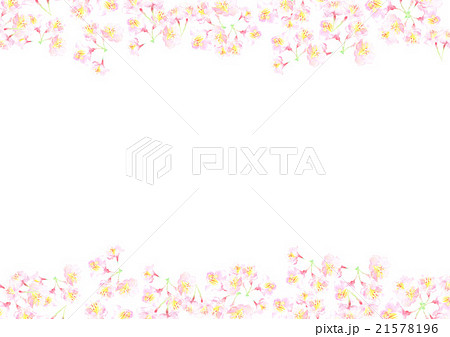 イラスト 桜 春 背景のイラスト素材 21578196 Pixta