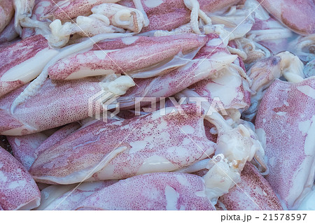 Fresh frozen squid on ice. 21578597